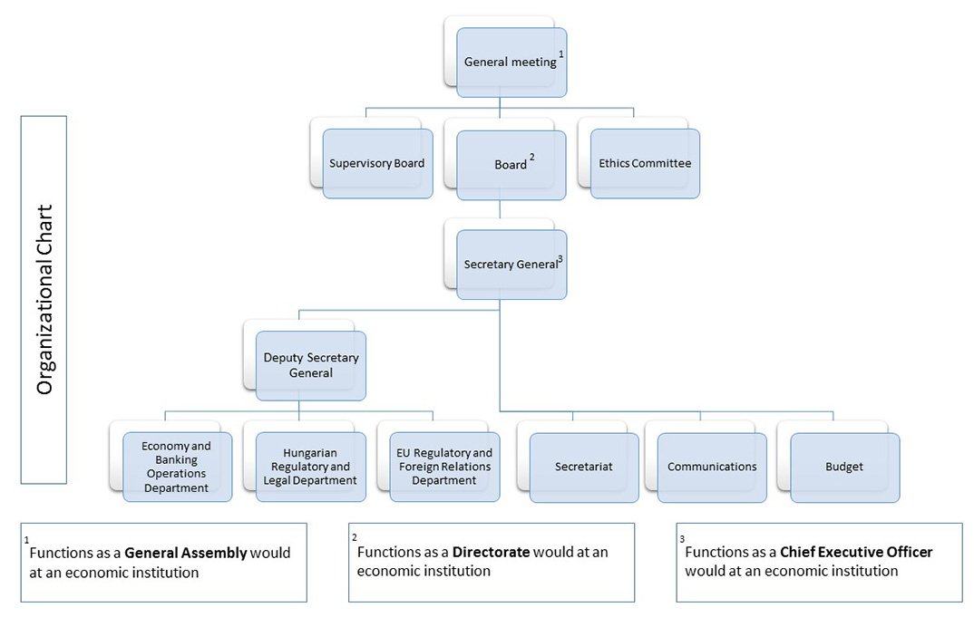 Organization Structure